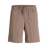 Jack & Jones JPSTJAIDEN Tyson Erkek Jogger Şort Rahat Kesim Günlük Yazlık Şort