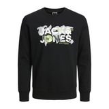 Jack & Jones Kadın Jcodust Sweat Crew Neck Kazak, Siyah, XL