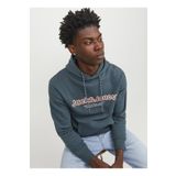 Jack & Jones Kapüşon Yaka Koyu Yeşil Erkek Sweatshırt 12246802_JORLAKEWOOD SWEAT HOOD BF