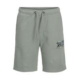 Jack & Jones Lastikli Bel Normal Erkek Çocuk Şort, 5003241093