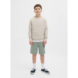 Jack & Jones Lastikli Bel Normal Yeşil Erkek Çocuk Şort 12269948 - 10 Yaş
