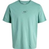 Jack & Jones Mavi Erkek Çocuk Baskılı T-Shirt 12297506 - 10 Yaş