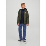 Jack & Jones Normal Bel Açık Mavi Erkek Çocuk Denim Pantolon 12221414 - 10 Yaş