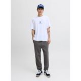 Jack & Jones Normal Eşofman Altı, XXL, 12249274, Gri, Erkek