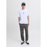 Jack & Jones Normal Gri Erkek Eşofman Altı 12249274_JPSTGORDON Bradley Sweat P - 2XL