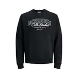 JACK & JONES Sweatshirt, L, 12278601, Siyah, erkek