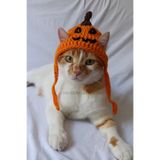 Jack-O-Lantern Balkabağı Örgü Kedi Köpek Şapkası Halloween Pet Aksesuar Korkunç Turuncu Pumpkin Bere
