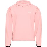 Jack Wolfskin ASTROTRAIL HOODY W Kadın Sweatshirt, Rosegarden, XS