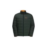 Jack Wolfskin Ather Yeşil Erkek Mont