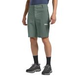 Jack Wolfskin Erkek yürüyüş şortu Hikeout şort M