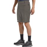 Jack Wolfskin Hikeout Shorts Erkek Gri Şort