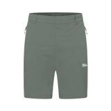 Jack Wolfskin Hikeout Shorts Erkek Yeşil Şort