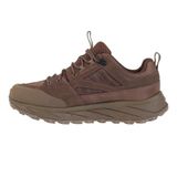 Jack Wolfskin Terraquest Texapore Low M erkek yürüyüş ayakkabısı, Bear, 45 EU
