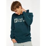 Jack Wolfskin Yeşil Erkek Kapüşon Yaka Sweatshirt Arthur Hoody M