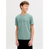 Jack&Jones Corp Logo Erkek Çocuk Tişört, 15-16 Yaş, 06-12152730-7, Mavi, Erkek Çocuk