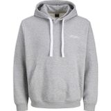 Jack&Jones Jack & Jones Cover Graphic Erkek Gri Sweatshirt (12282973-LGM)