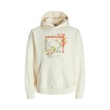 Jack&Jones Lucca Graphic Kapüşonlu Sweatshirt, L, 06-12276599-2, Ekru, erkek