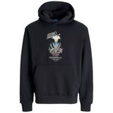 Jack&Jones Lucca Graphic Kapüşonlu Sweatshirt, L, 06-12276599-2, Siyah, erkek