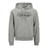 Jack&Jones Makoto Kapüşonlu Sweatshirt, L, 06-12278606-2, Gri, erkek