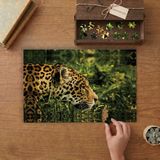 Jaguar Yaban Kedisi Büyük Kedi Tasarımı 240 Parça Ahşap Puzzle Ahşap Kutuda MP04017