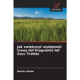 Jak zwiększyc wydajnośc trawy tef Eragrostis tef Zucc Trotter