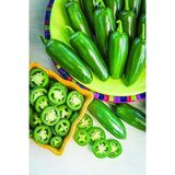 Jalapeno Aci Biber Tohumu, 100 Adet İle Bahçe İçin Baharatlı Seçenek