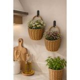 Janset rattan 2li çiçeklik