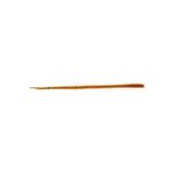 Japanese Ryoshi Brown 120mm Silikon Sahte Yem
