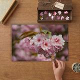 Japon Süs Kirazı Çiçekleri Tasarımı 240 Parça Ahşap Puzzle Ahşap Kutuda MP07369