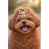 Jasminya Beyaz İnci Fiyonk Köpek Tokası Aksesuar