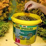 JBL Pro Novo Spirulina Flakes M 100gr(Açık)
