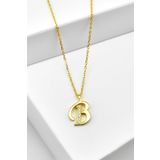 jelux silver Gümüş 925 Ayar Zirkon Taşlı Gold Harf Kolye B