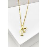jelux silver Gümüş 925 Ayar Zirkon Taşlı Gold Harf Kolye F