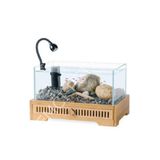 Jeneca XL-50 Akvaryum+Dekor 42,3x25,2x18,5 Cm 11L