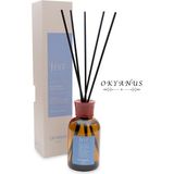 Jest Okyanus Bambu Çubuklu Oda Ortam Kokusu 100 ml