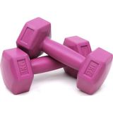 Jet 1 kg Dambıl 1KGX2ADET Dumbell Ağırlık Pilates Seti Kondisyon Spor Aleti