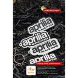 jetniva Aprilia Motosiklet Anahtarlığı - V1