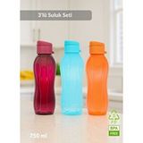 Jet's Home 3’lü Set Matara Okul Suluğu Kapaklı Plastik Su Şişesi 750 Ml Çok Renkli