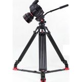 Jieyang Jy8071D Professional Tripod & Spreader Video Tripod
