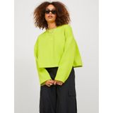 Jjxx Baskılı Yuvarlak Yaka Kadın Sweatshirt 12214536