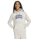 JM6424 COLLEGIATE HD Bej Erkek Kapüşon Baskılı Sweatshirt