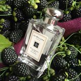 Jo Malone London Blackberry & Bay Eau De Cologne 100 Ml Kadın Parfum