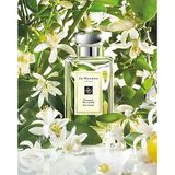 Jo Malone London Orange Blossom Eau De Cologne 100 Ml Unisex Parfum