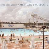 Joel Sternfeld: American Prospects by Kerry Brougher (2012-09-30)