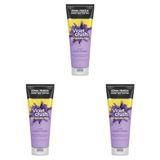 John Frieda Violet Crush Sarı Saçlara Özel Menekşe Özlü Mor Saç Bakım Kremi 250 ml (3 paketi)