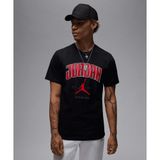 Jordan T-shirt Erkek Siyah Tişört - HQ0009-010