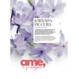 Jornada de Cura: A Organização do Caos (Ame a Si mesma)
