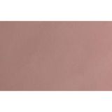 Jotun Dusty Rose 20055 2 lt Fenomastic Güzel Evim Serisi Mineral Boya