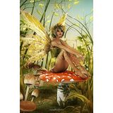 Journal: Fairy Sitting on a Mushroom: Lined Journal, 120 Pages, 5.5 x 8.5, Enchanted Fairy Seated on a Mushroom, Soft Cover, Matte Finish (Fairy Journals)