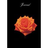 Journal/Notebook, Hardcover, Glossy Finish: Orange Rose